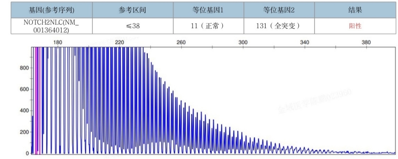 3B36B